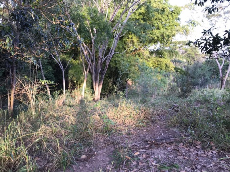 Chácara à venda Centro com 8300m² e 1 quarto por R$ 250.000 - 1249459772-img-20210624-wa0009.jpg