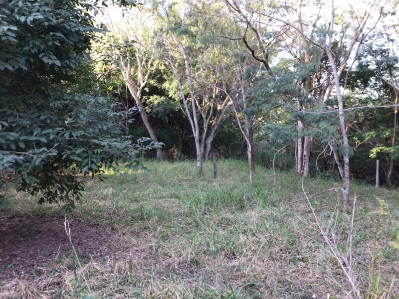 Chácara à venda Centro com 8300m² e 1 quarto por R$ 250.000 - 134736281-img-20210624-wa0020.jpg