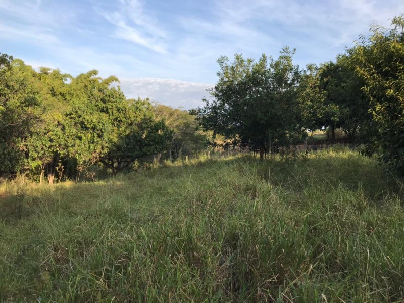 Chácara à venda Centro com 8300m² e 1 quarto por R$ 250.000 - 2133805115-img-20210624-wa0037.jpg