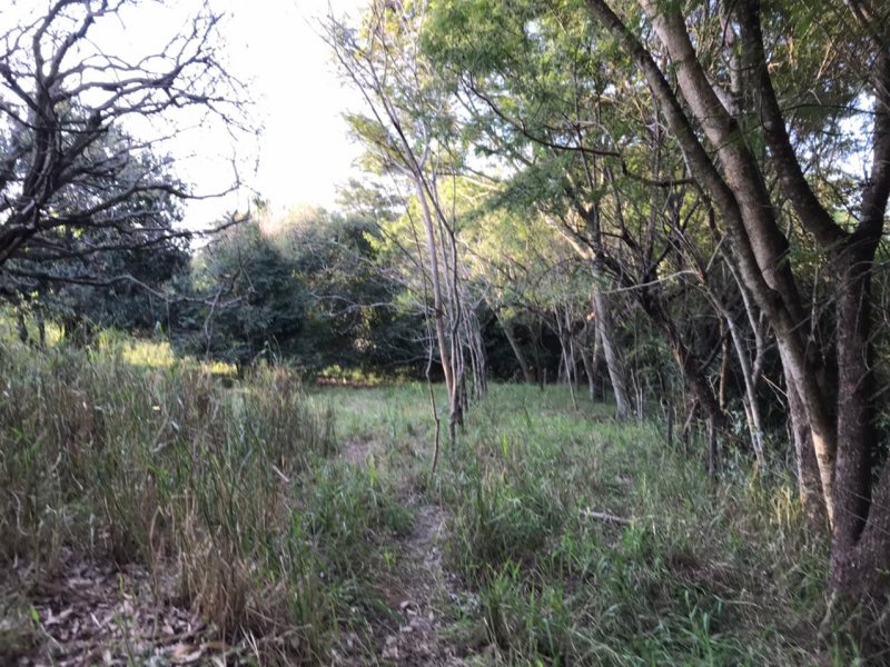 Chácara à venda Centro com 8300m² e 1 quarto por R$ 250.000 - 247228142-img-20210624-wa0021.jpg