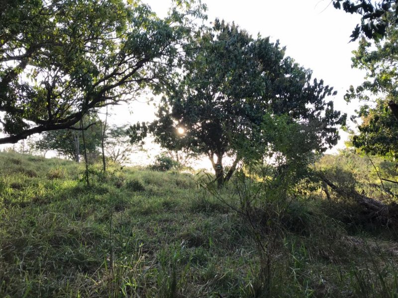 Chácara à venda Centro com 8300m² e 1 quarto por R$ 250.000 - 358019634-img-20210624-wa0016.jpg