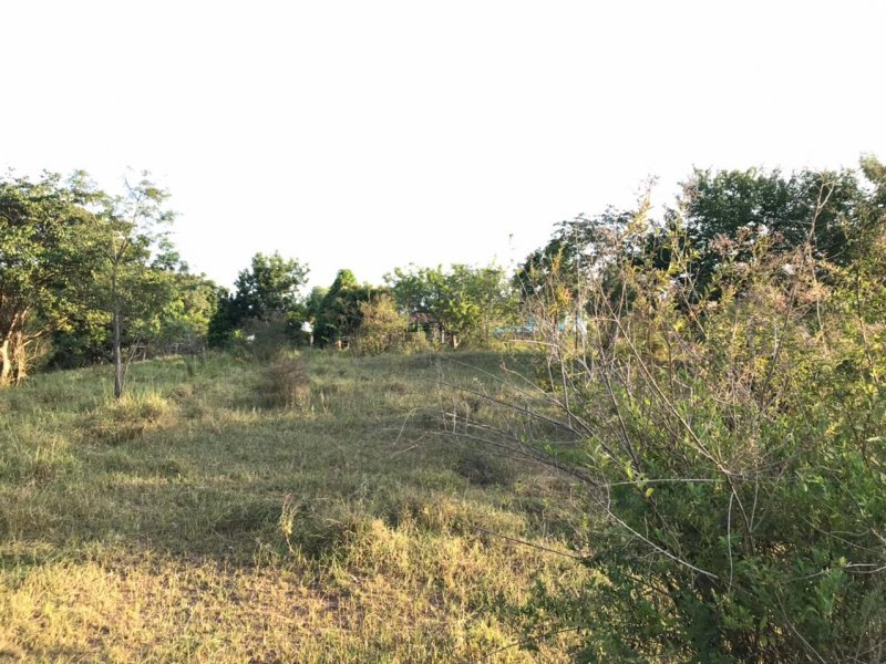 Chácara à venda Centro com 8300m² e 1 quarto por R$ 250.000 - 510589355-img-20210624-wa0011.jpg