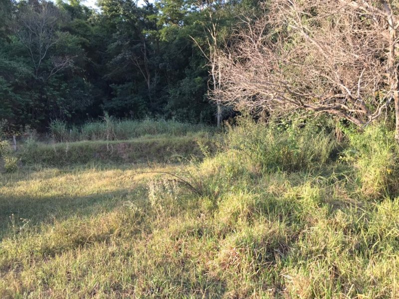 Chácara à venda Centro com 8300m² e 1 quarto por R$ 250.000 - 544401177-img-20210624-wa0013.jpg