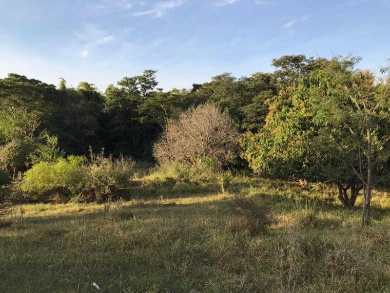 Chácara à venda Centro com 8300m² e 1 quarto por R$ 250.000 - 773660353-img-20210624-wa0034.jpg