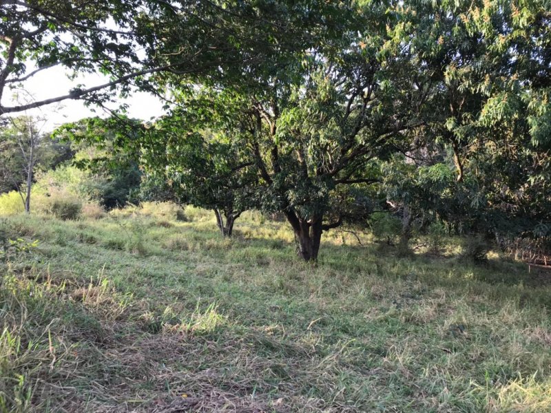 Chácara à venda Centro com 8300m² e 1 quarto por R$ 250.000 - 979810534-img-20210624-wa0031.jpg