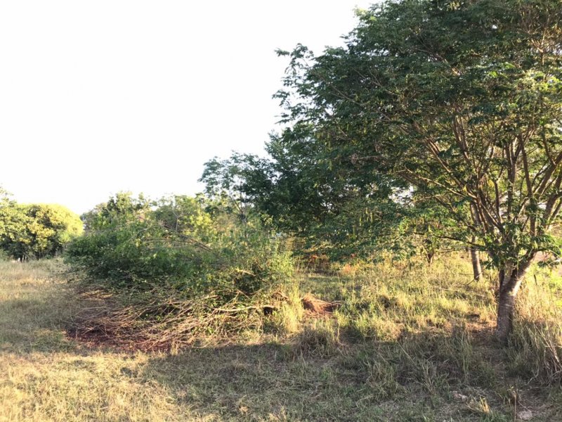 Chácara à venda Centro com 8300m² e 1 quarto por R$ 250.000 - 981761654-img-20210624-wa0012.jpg
