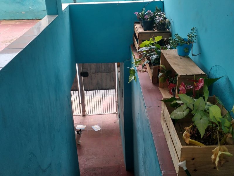 Casa à venda Grajaú com 90m² e 2 quartos por R$ 280.000 - 1063049485-17.jpg