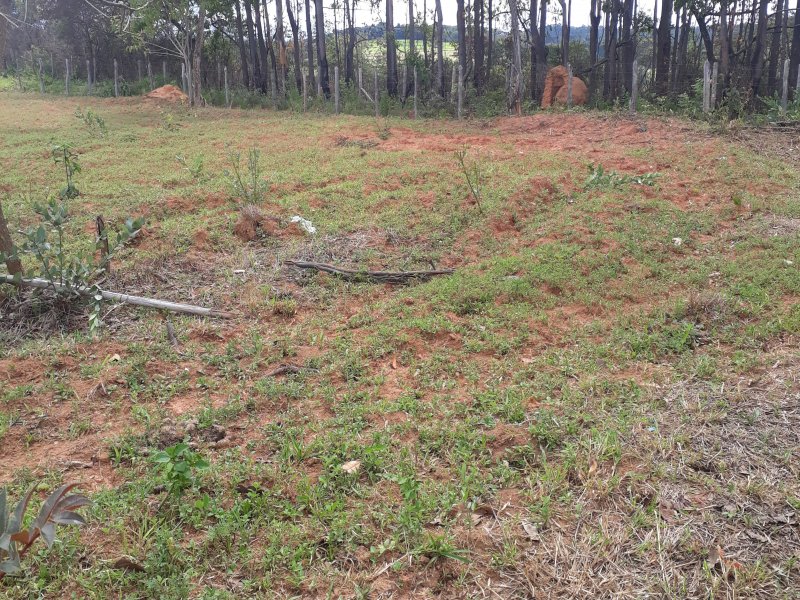 Terreno à venda São Caetano com 500m² e 1 quarto por R$ 75.000 - 235071260-20211228-141011.jpg
