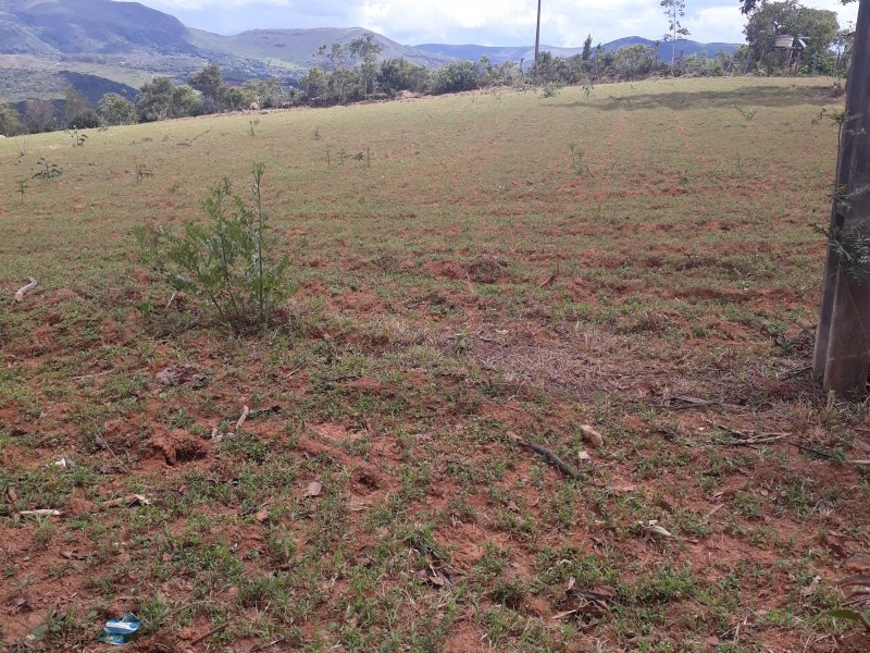 Terreno à venda São Caetano com 500m² e 1 quarto por R$ 75.000 - 279746995-20211228-141007.jpg