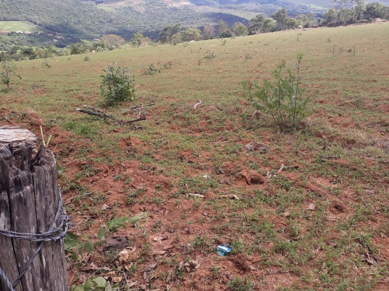 Terreno à venda São Caetano com 500m² e 1 quarto por R$ 75.000 - 408104197-20211228-141016.jpg