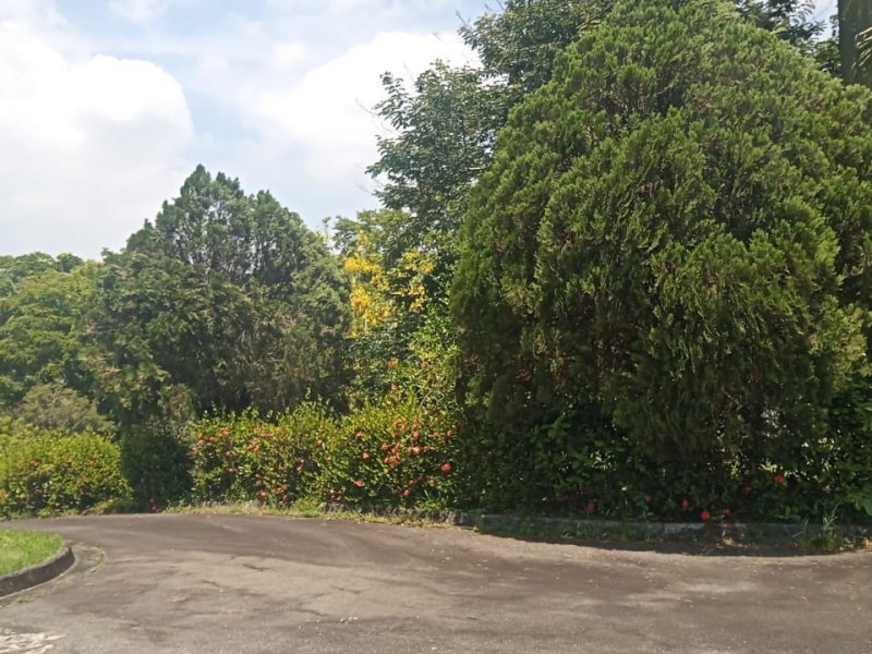 Casa à venda Jardim Iguaçu com 50000m² e 12 quartos por R$ 19.000.000 - 1286597763-f376ce5e-9321-4818-ac73-f2968570acc0.jpg