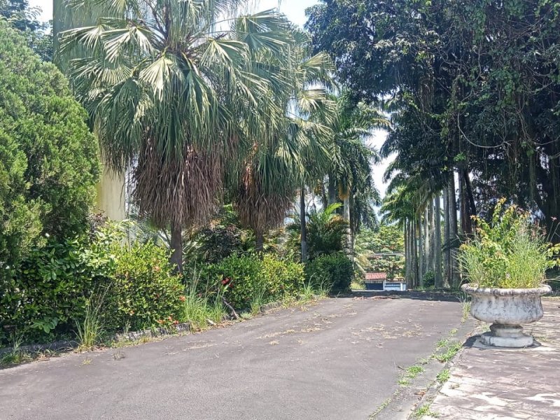 Casa à venda Jardim Iguaçu com 50000m² e 12 quartos por R$ 19.000.000 - 1348693384-0d27fd63-5cc9-48e7-9219-49e3fd8b5cda.jpg