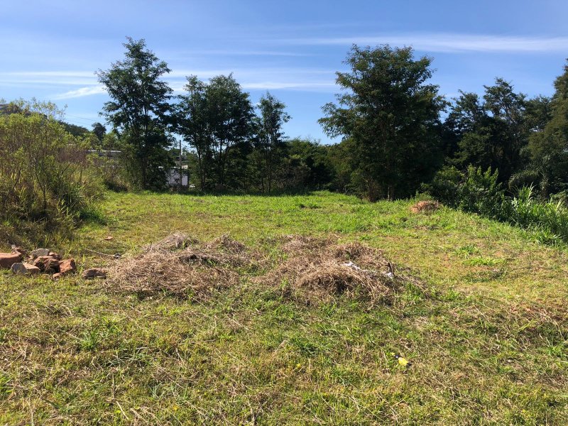 Terreno à venda Jardim Ipyranga com 305m² e 1 quarto por R$ 305.000 - 2056773120-7f1c2e9c-6f44-47b9-b848-5011c8f69769.jpeg
