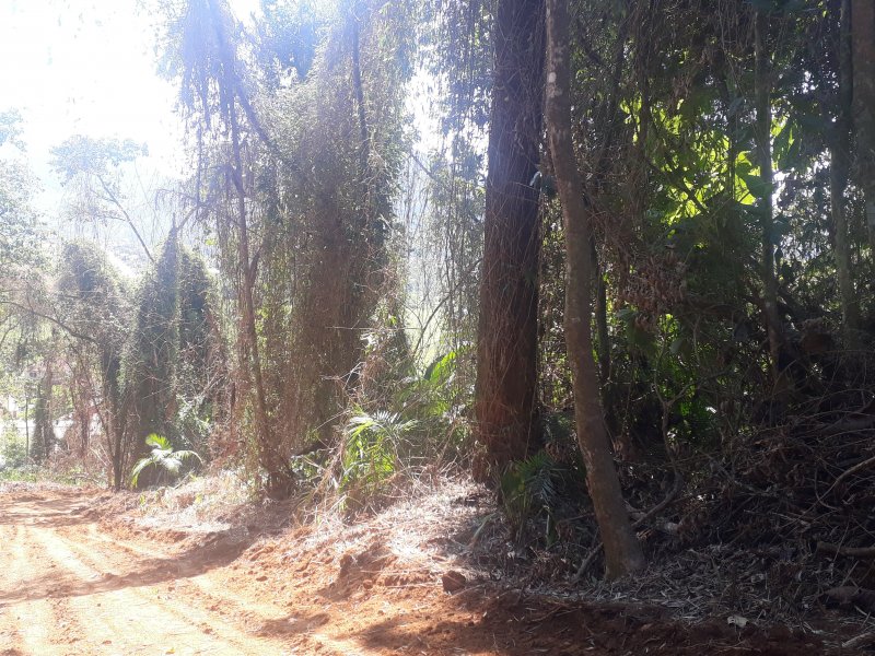 Chácara à venda Centro com 500m² e 1 quarto por R$ 130.000 - 1006600233-20220103-095529.jpg