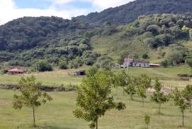 Chácara à venda Camobi com 100000m² - 3 dormitórios -  vagas - R$ 3.200.000 - 473757864-22a95dda-46ec-4922-8e72-632ae63895e6.jpeg