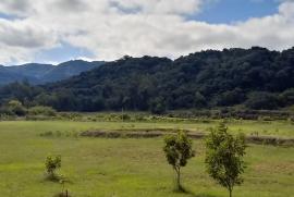 Chácara à venda Camobi com 100000m² - 3 dormitórios -  vagas - R$ 3.200.000 - 829621327-12b909f2-f19b-446d-8ba9-2da1eb5634c3.jpeg
