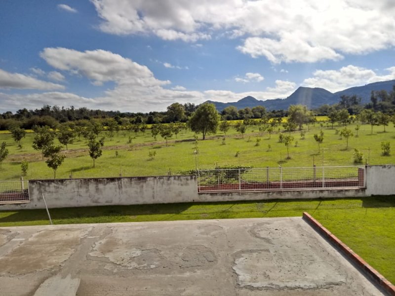 Chácara à venda Camobi com 100000m² e 3 quartos por R$ 3.200.000 - 1156402935-7d6285d6-1b32-4cab-b34b-5bfd1de53f7d.jpeg