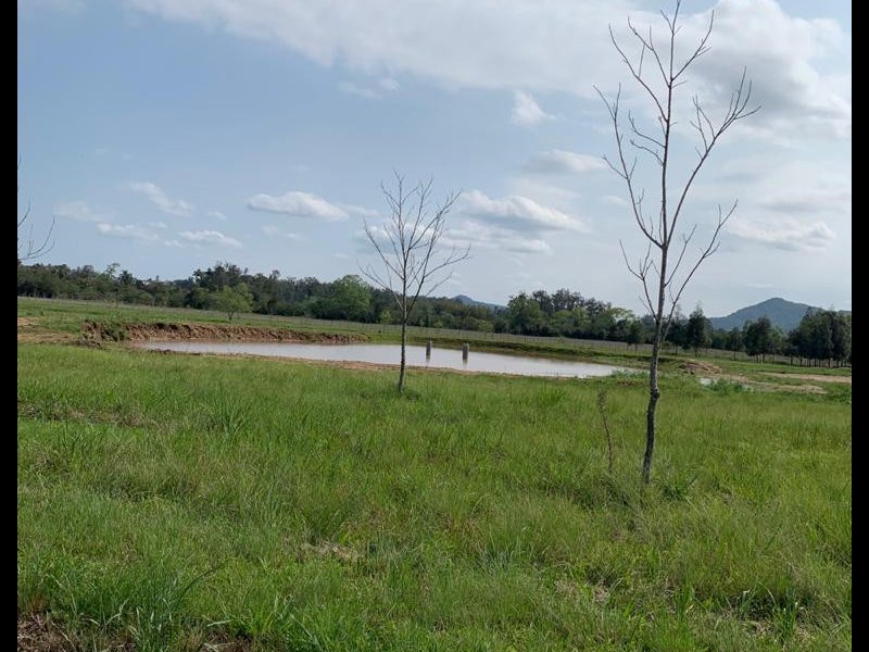 Chácara à venda Camobi com 100000m² e 3 quartos por R$ 3.200.000 - 1650929684-bc2d6ed1-87ea-487e-bfcd-36d9d2263bd3.jpeg