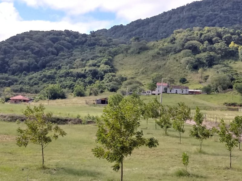 Chácara à venda Camobi com 100000m² e 3 quartos por R$ 3.200.000 - 473757864-22a95dda-46ec-4922-8e72-632ae63895e6.jpeg