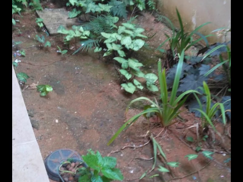 Casa à venda Parque Recanto Monica com 330m² e 4 quartos por R$ 450.000 - 2047571315-img-20220104-wa0049.jpg