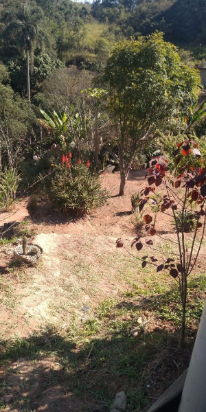 Terreno à venda Centro com 600m² e 1 quarto por R$ 190.000 - 1145041179-1ad4f6b8-1bff-4274-ac07-8b14e140e792.jpg