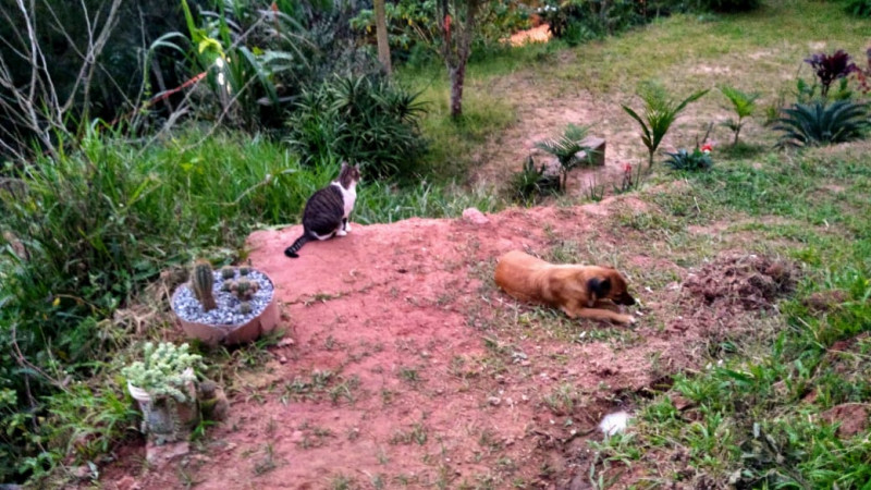 Terreno à venda Centro com 600m² e 1 quarto por R$ 190.000 - 1739323876-img-20200225-wa0001.jpg