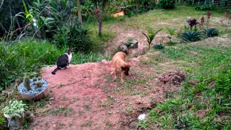 Terreno à venda Centro com 600m² e 1 quarto por R$ 190.000 - 286720186-img-20200225-wa0002.jpg