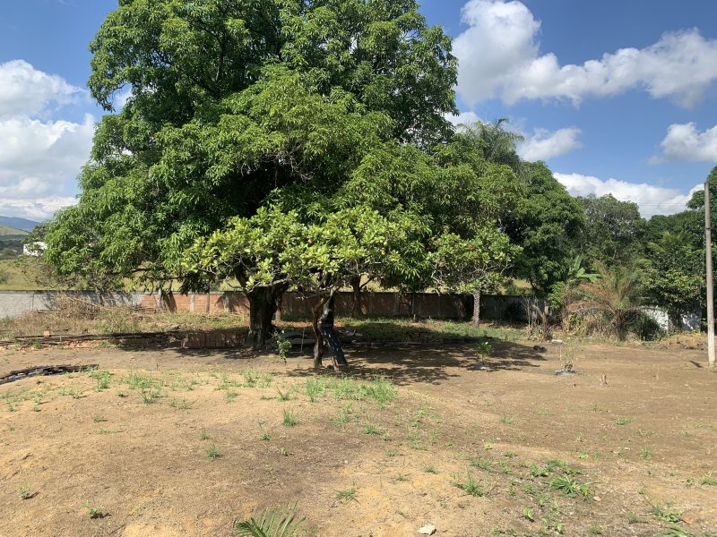 Sítio à venda Vila Tarumã com 5000m² e 4 quartos por R$ 690.000 - 1968950709-eacbad7d-fe88-4b24-a0c2-c61bde33e9ef.jpeg