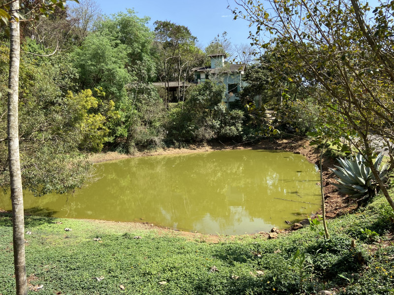 Terreno à venda Vereda das Gerais com 810m² e 1 quarto por R$ 270.000 - img-3249.JPG