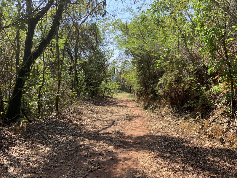 Terreno à venda Vereda das Gerais com 810m² e 1 quarto por R$ 270.000 - img-3258.JPG
