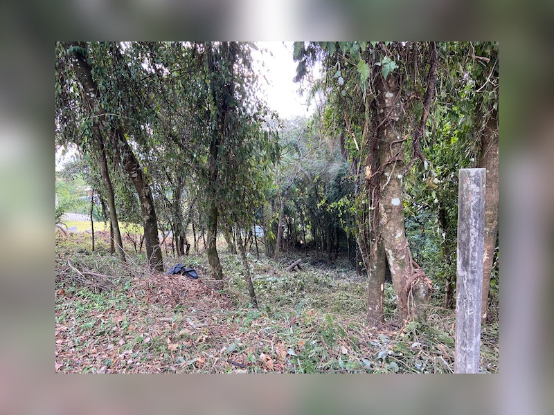 Terreno à venda Vereda das Gerais com 810m² e 1 quarto por R$ 270.000 - img-4921.jpg