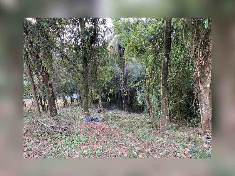Terreno à venda Vereda das Gerais com 810m² e 1 quarto por R$ 270.000 - img-4922.jpg