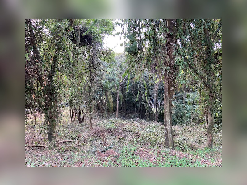 Terreno à venda Vereda das Gerais com 810m² e 1 quarto por R$ 270.000 - img-4924.jpg