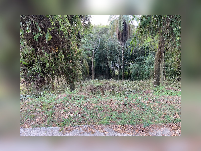 Terreno à venda Vereda das Gerais com 810m² e 1 quarto por R$ 270.000 - img-4925.jpg
