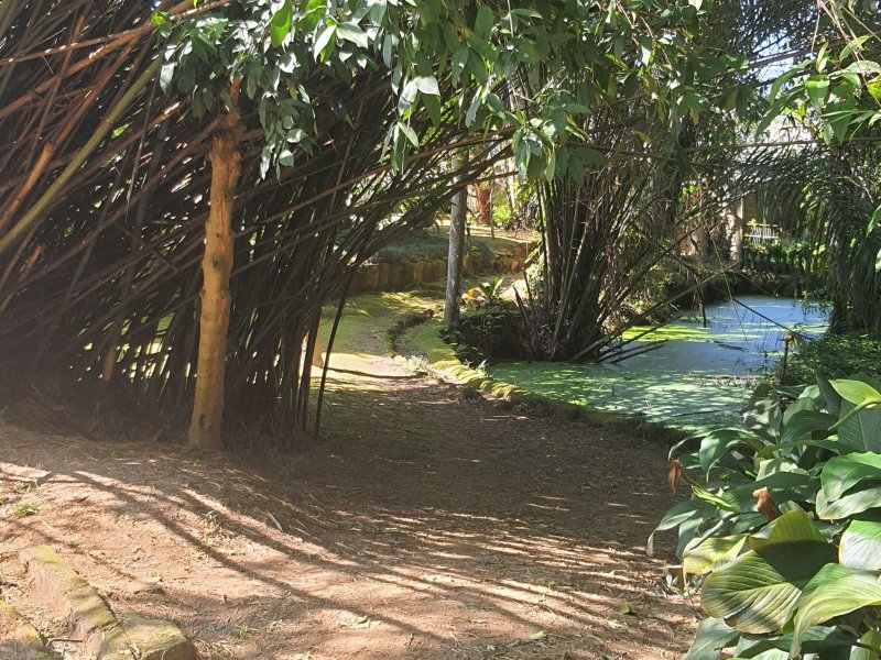 Chácara à venda Morro do Algodão com 14000m² e 5 quartos por R$ 3.000.000 - 1077488836-20211114-084641.jpg