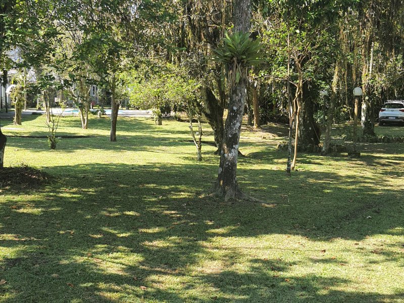 Chácara à venda Morro do Algodão com 14000m² e 5 quartos por R$ 3.000.000 - 1338591114-20211114-084723.jpg