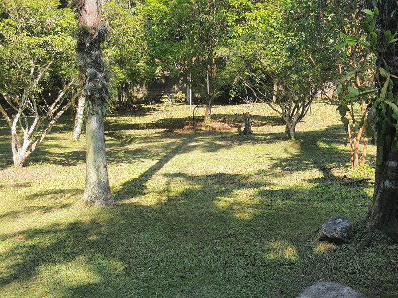 Chácara à venda Morro do Algodão com 14000m² e 5 quartos por R$ 3.000.000 - 1605345133-20211114-084750.jpg