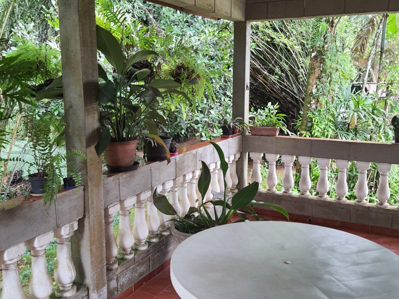 Chácara à venda Morro do Algodão com 14000m² e 5 quartos por R$ 3.000.000 - 1737757495-20220109-092459.jpg