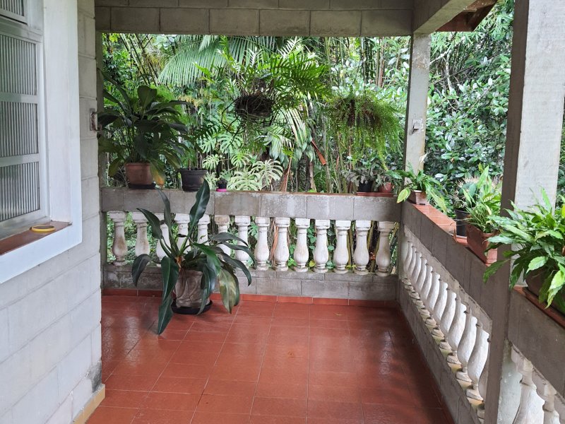 Chácara à venda Morro do Algodão com 14000m² e 5 quartos por R$ 3.000.000 - 1741084373-20220109-092511.jpg