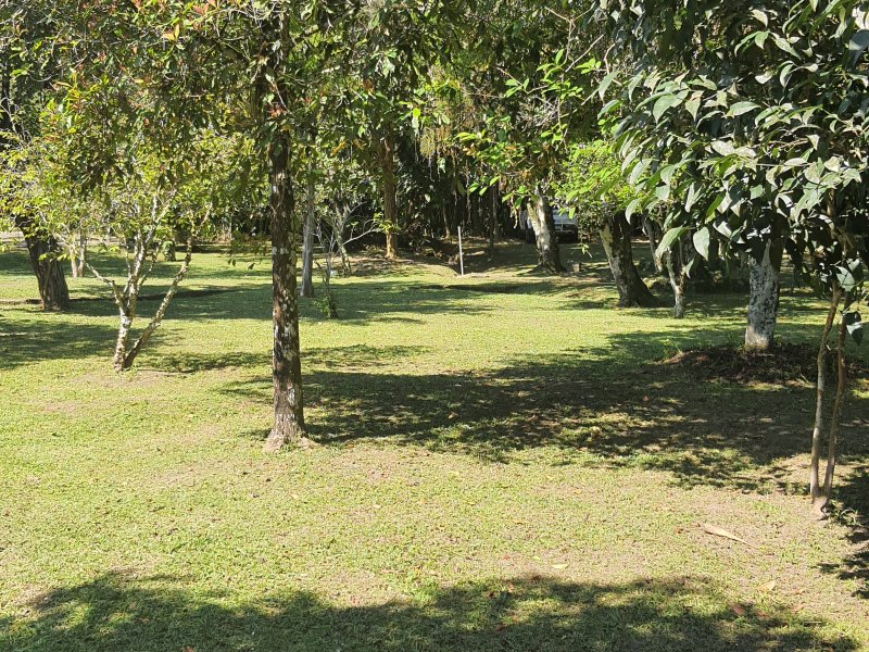 Chácara à venda Morro do Algodão com 14000m² e 5 quartos por R$ 3.000.000 - 313074172-20211114-084739.jpg