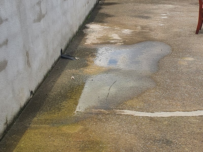 Casa à venda Cidade das Flores com 196m² e 3 quartos por R$ 500.000 - 1763171753-20220112-125134.jpg