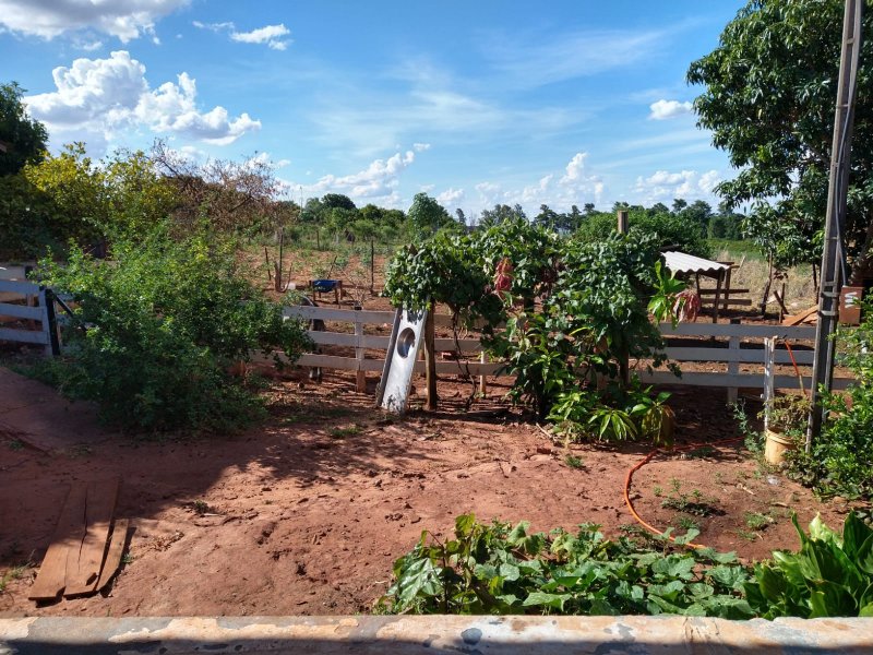 Chácara à venda Zona 6 com 1500m² e 5 quartos por R$ 280.000 - 1650705212-7.jpg