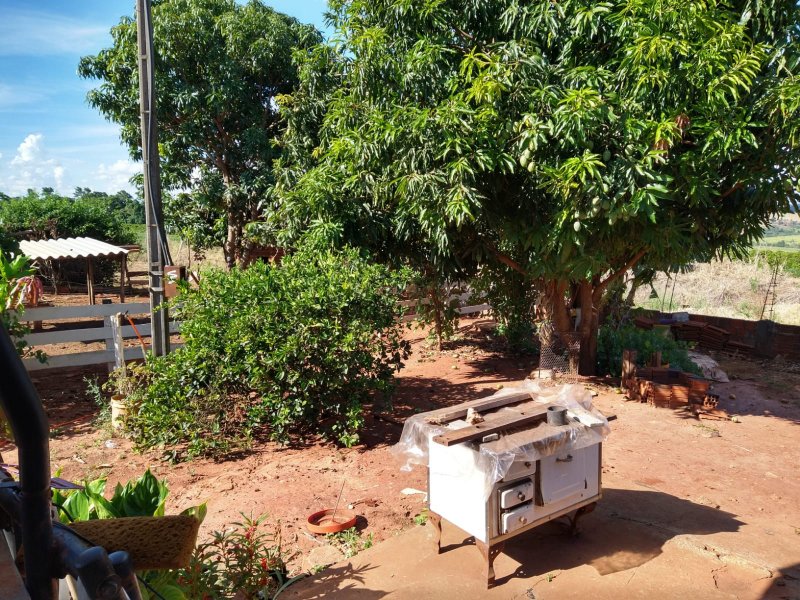 Chácara à venda Zona 6 com 1500m² e 5 quartos por R$ 280.000 - 1896805199-6.jpg