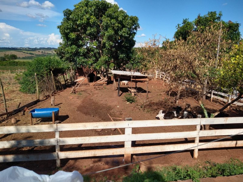 Chácara à venda Zona 6 com 1500m² e 5 quartos por R$ 280.000 - 549529487-3.jpg