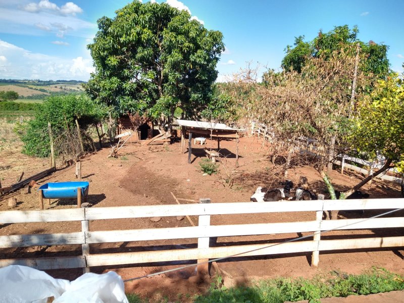 Chácara à venda Zona 6 com 1500m² e 5 quartos por R$ 280.000 - 55010850-4.jpg