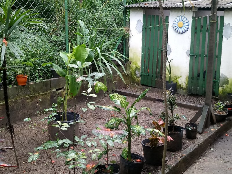 Apartamento à venda Praça Seca com 65m² e 2 quartos por R$ 130.000 - 1469689511-img-20220111-wa0034.jpeg