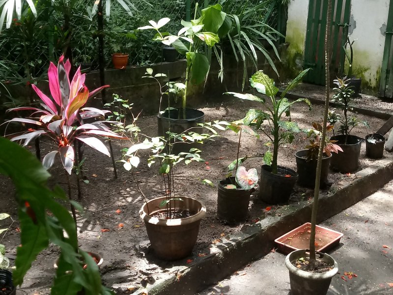 Apartamento à venda Praça Seca com 65m² e 2 quartos por R$ 130.000 - 1997159525-img-20220111-wa0064.jpeg