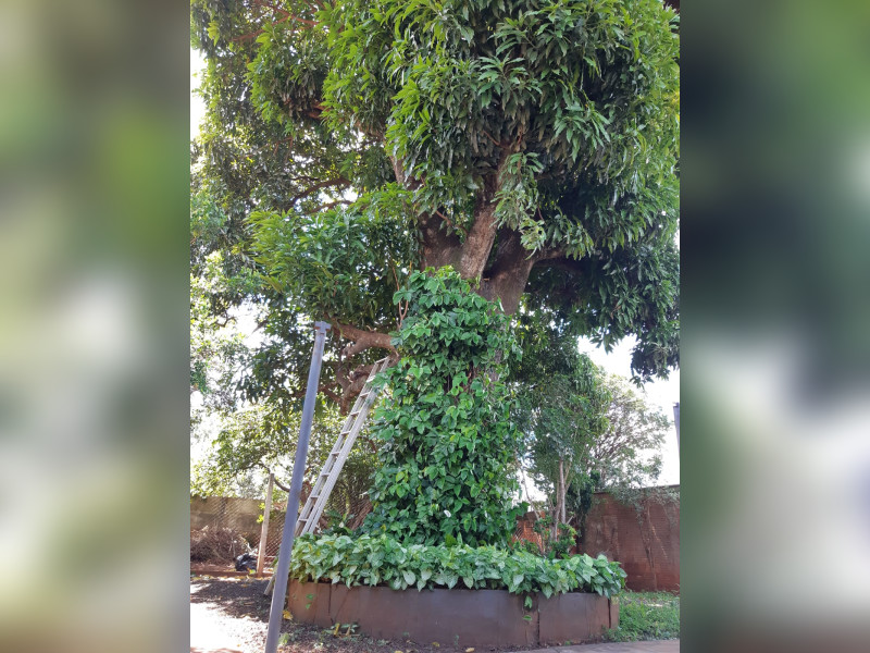 Casa à venda Fabrício com 180m² e 3 quartos por R$ 600.000 - img-20220114-wa0035.jpg