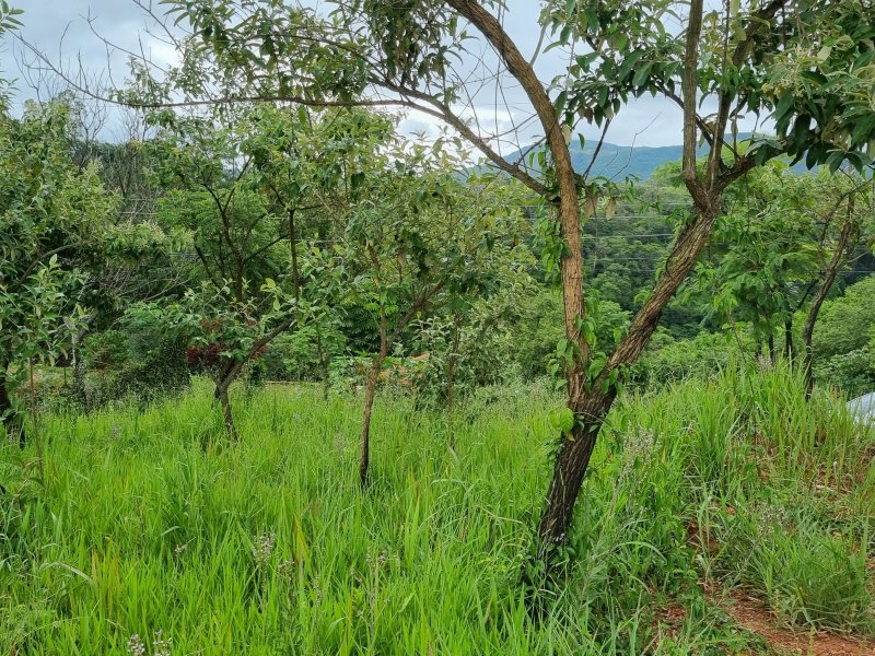 Terreno à venda Parque Vila Rica com 1150m² e 1 quarto por R$ 260.000 - 1426804262-20220107-134024-01.jpeg