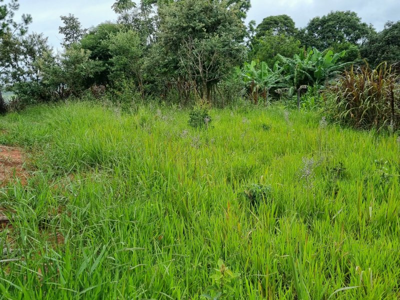 Terreno à venda Parque Vila Rica com 1150m² e 1 quarto por R$ 260.000 - 613173192-20220107-134032-01.jpeg